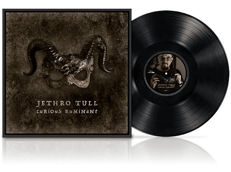 Jethro Tull : Curious Ruminant - LP