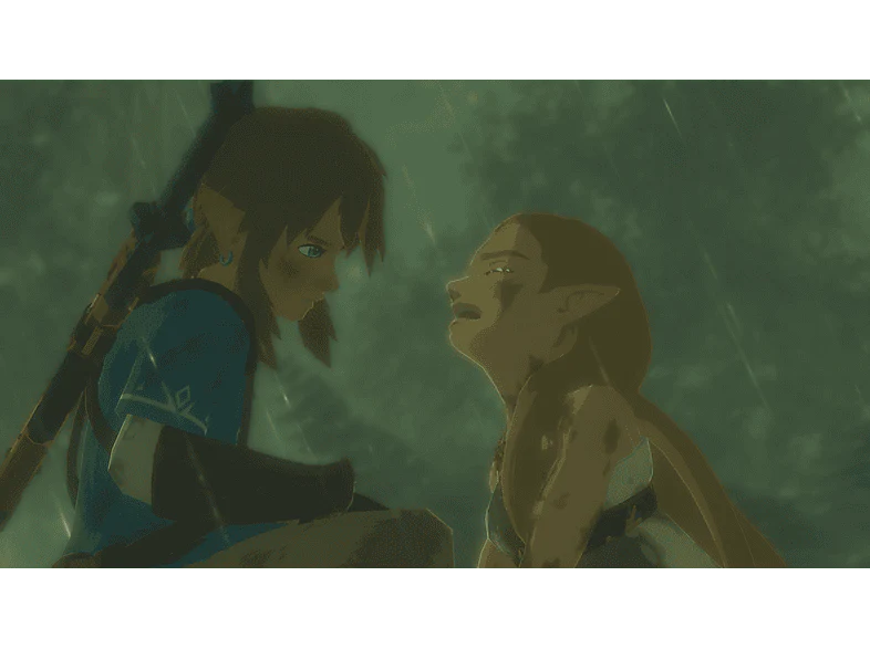 The Legend of Zelda: Breath of the Wild FR Switch - Image 15